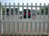 Kngen201020.jpg (61295 Byte)
