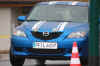 slal26.jpg (41181 Byte)